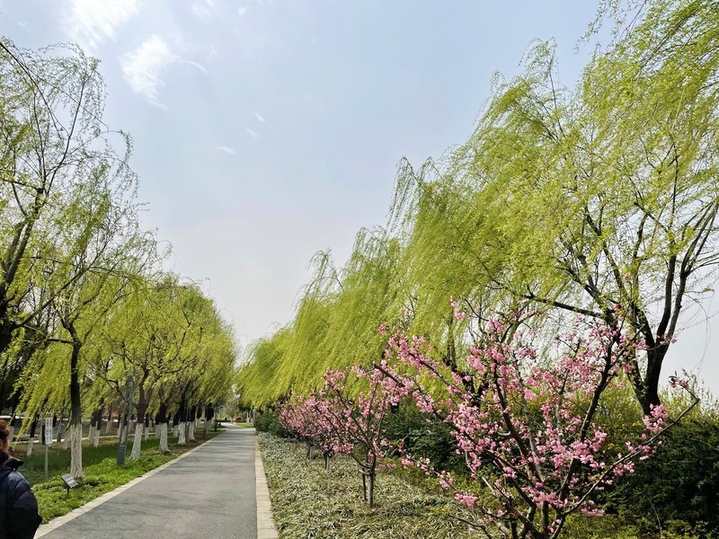 江苏PA视讯集团