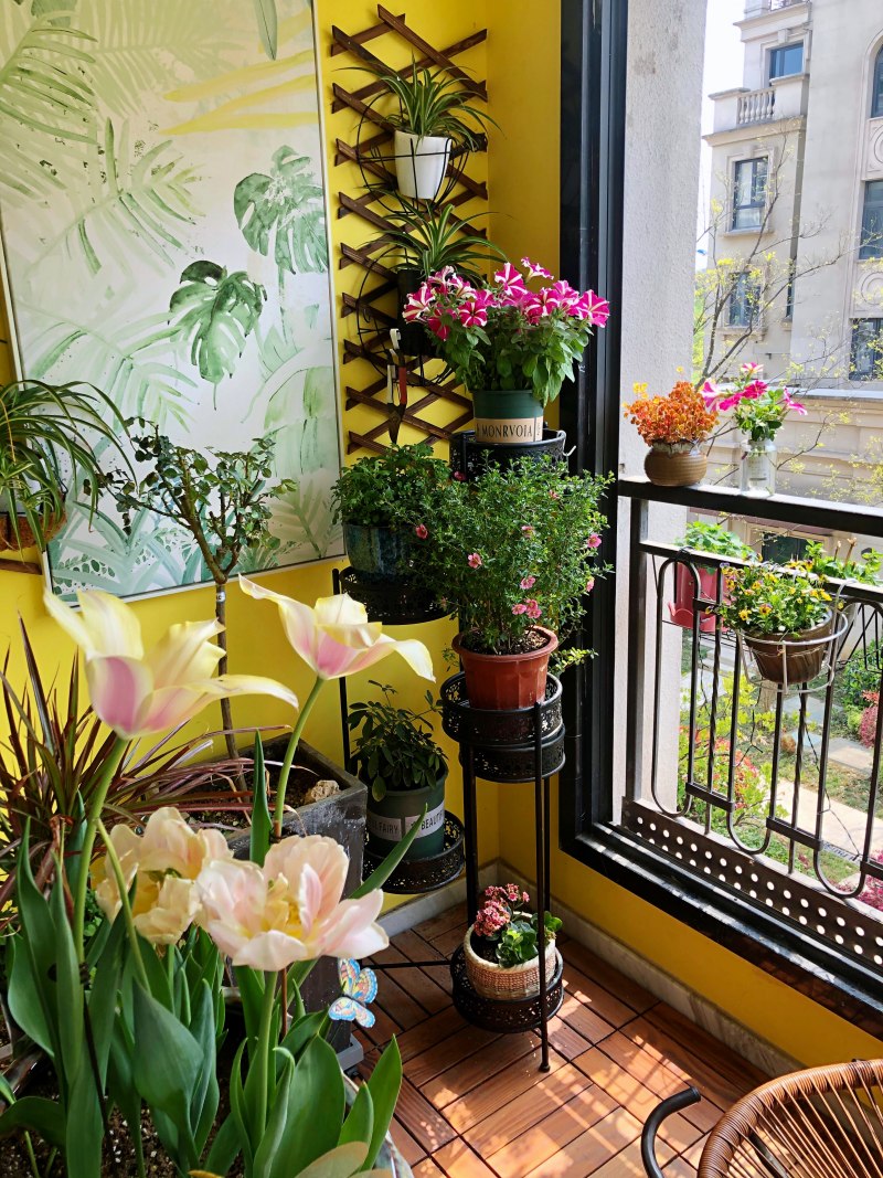 江苏PA视讯集团