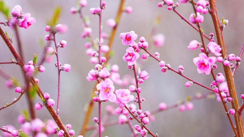 江苏PA视讯集团