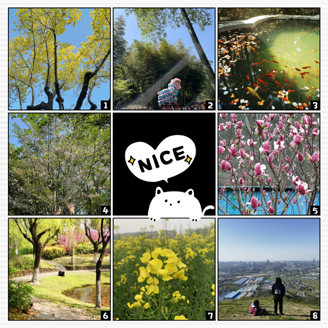 江苏PA视讯集团