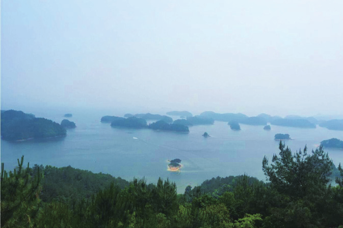 PA视讯(亚洲区)官网 - PlayAce